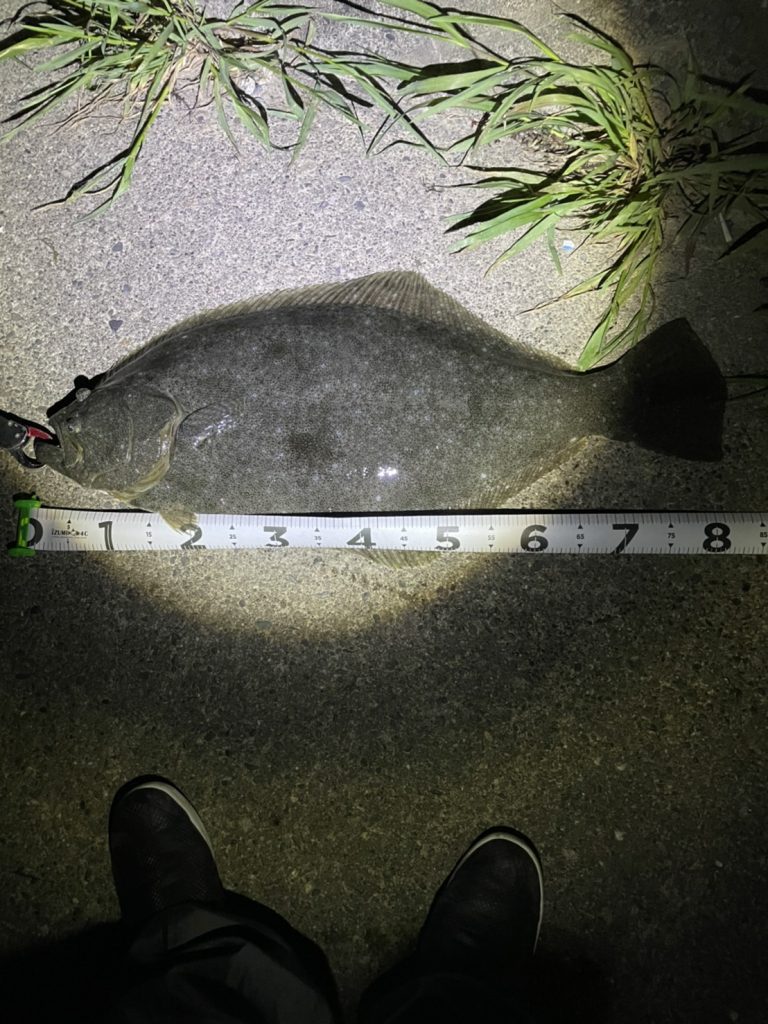 【釣果投稿】ヒラメ82cm！！！
