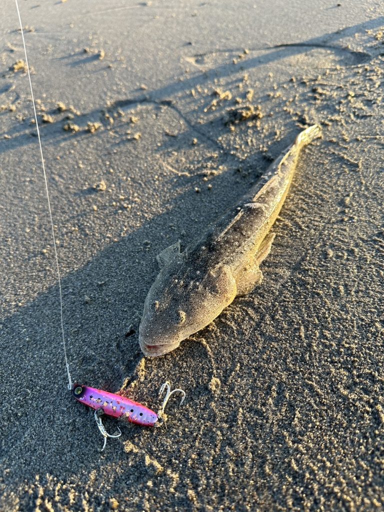 ☆☆☆週間釣り情報☆☆☆