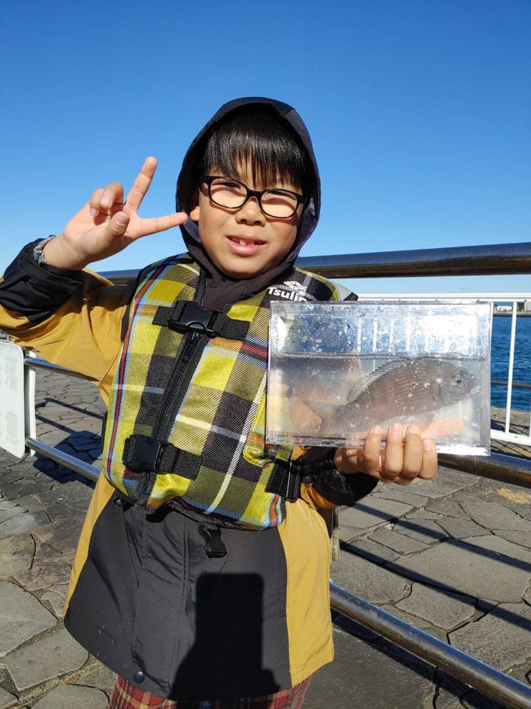 新居海釣公園にて釣果🐟