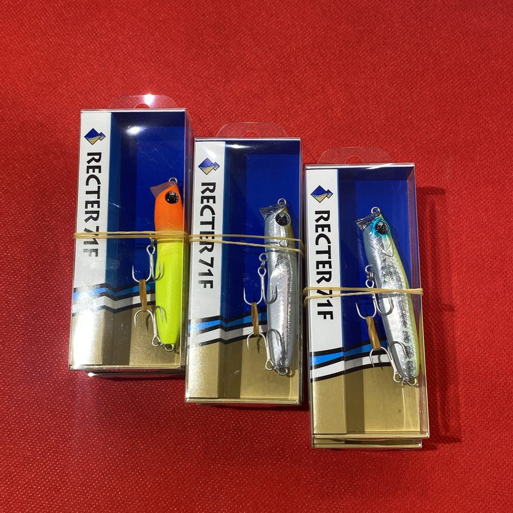 レクター71F入荷‼️