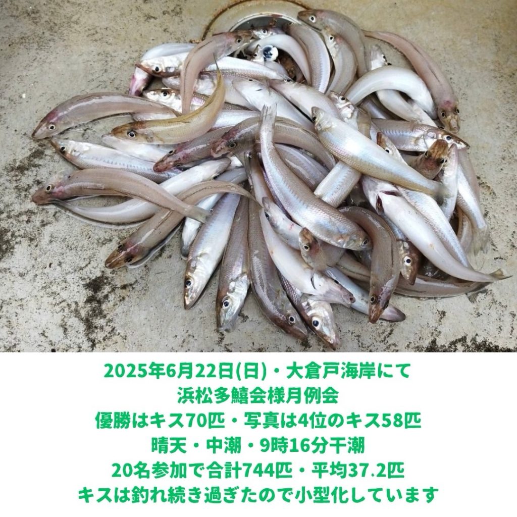 遠州サーフ　ダイワ投げ竿試投会✨キスの釣果情報‼️