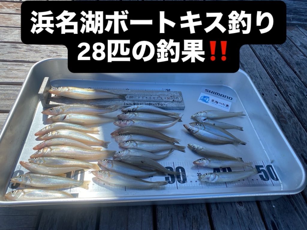 浜名湖ボートキス釣り　20cm前後が28匹‼️