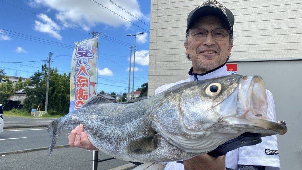 良型シーバス釣果！