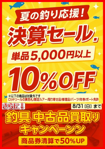 夏のセール開催！