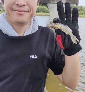 良型ハゼ釣れてます！