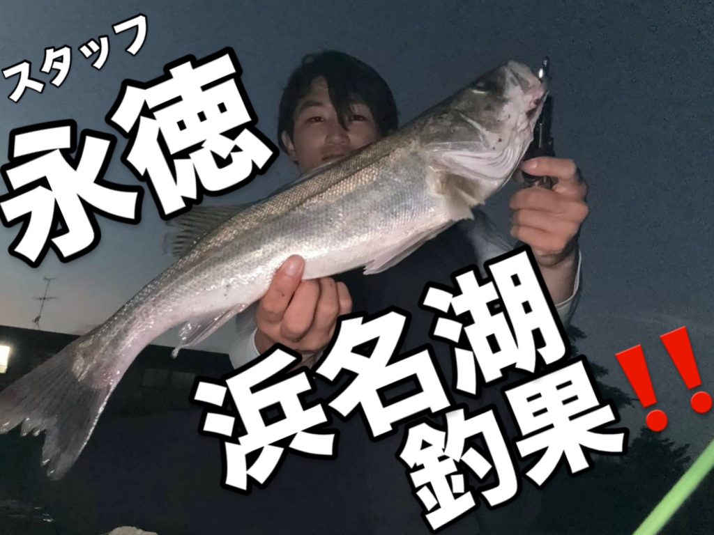 浜名湖シーバス！