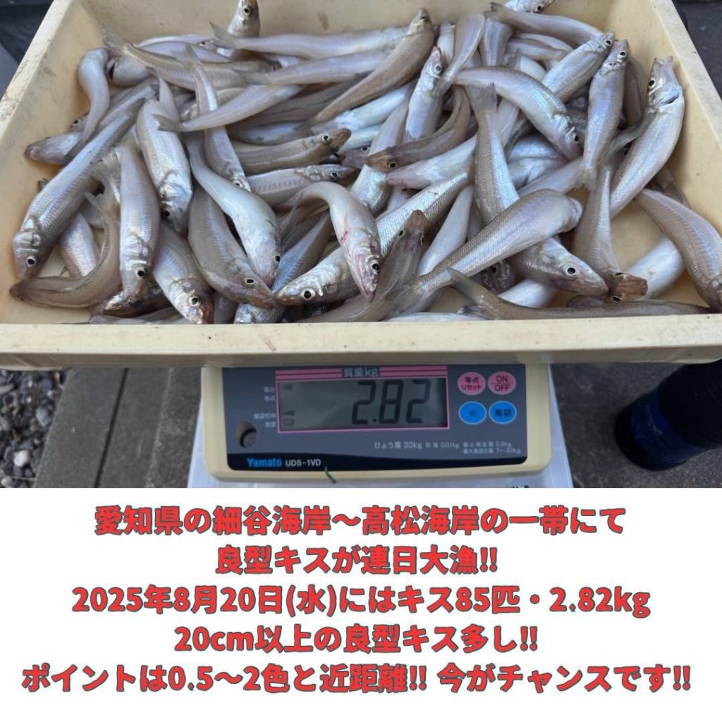遠州サーフにてキス絶好調‼️