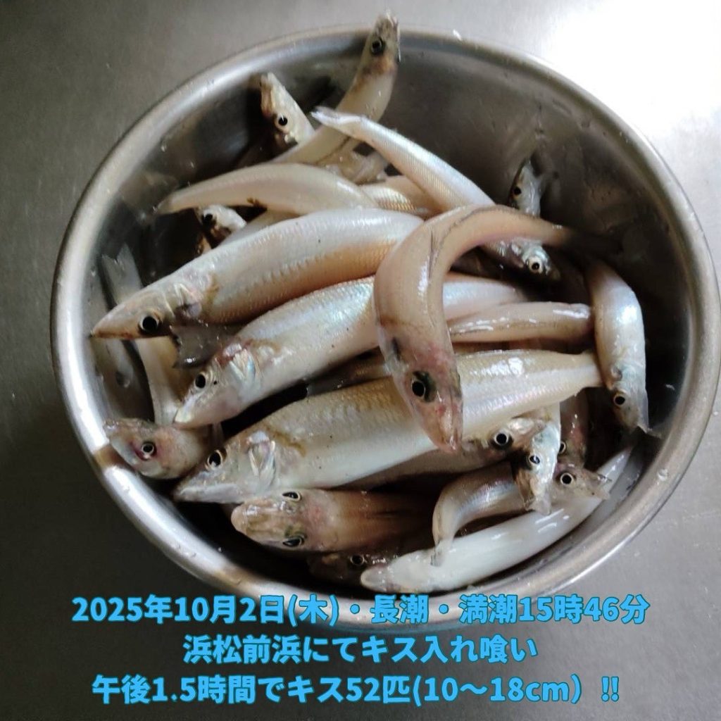 キスの投げ釣り秋の陣！