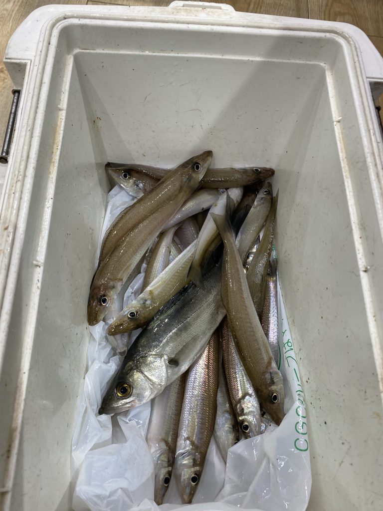 こんにちは東海つり具です♪