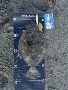 遠州サーフ好調！