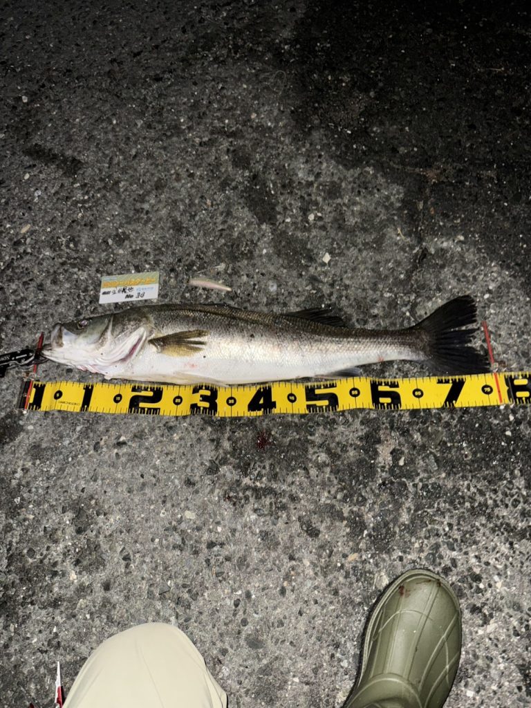 こんにちは東海つり具です♪