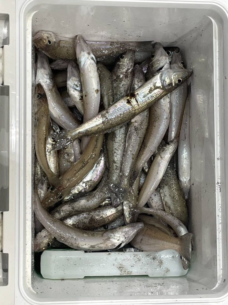 キス絶好調‼️