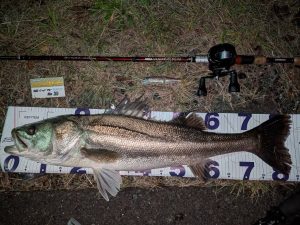 こんにちは東海つり具です♪