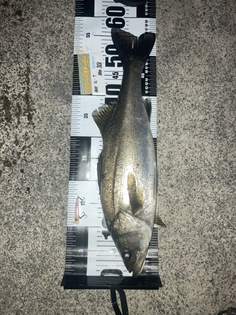 こんにちは東海つり具の永徳です♪