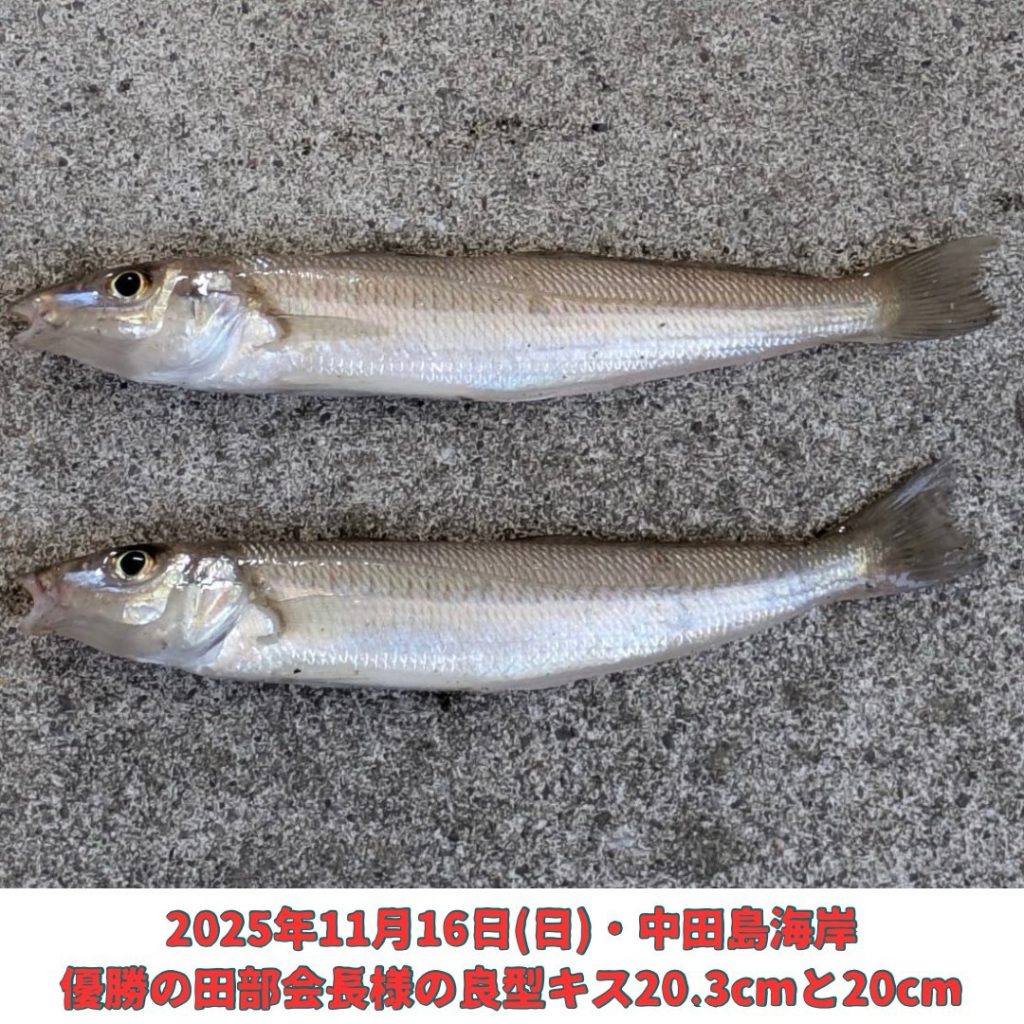 浜松西遠サーフ様11月例会の釣果♪ 浜松西遠サーフ様11月例会の釣果♪