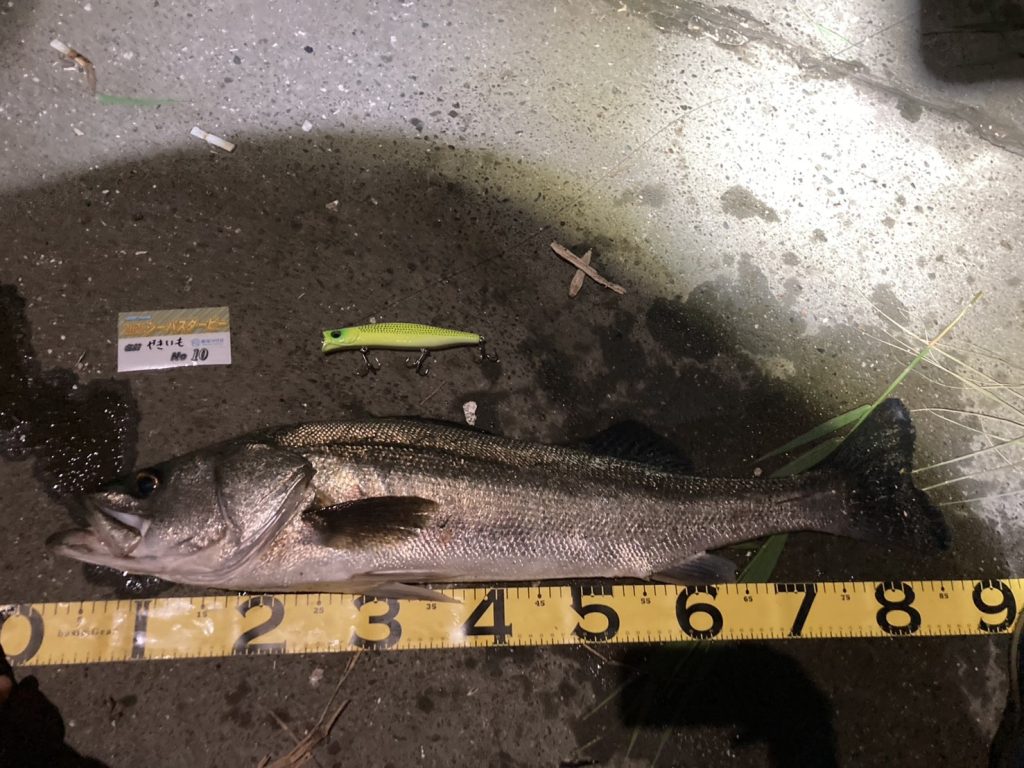 こんにちは東海つり具です♪