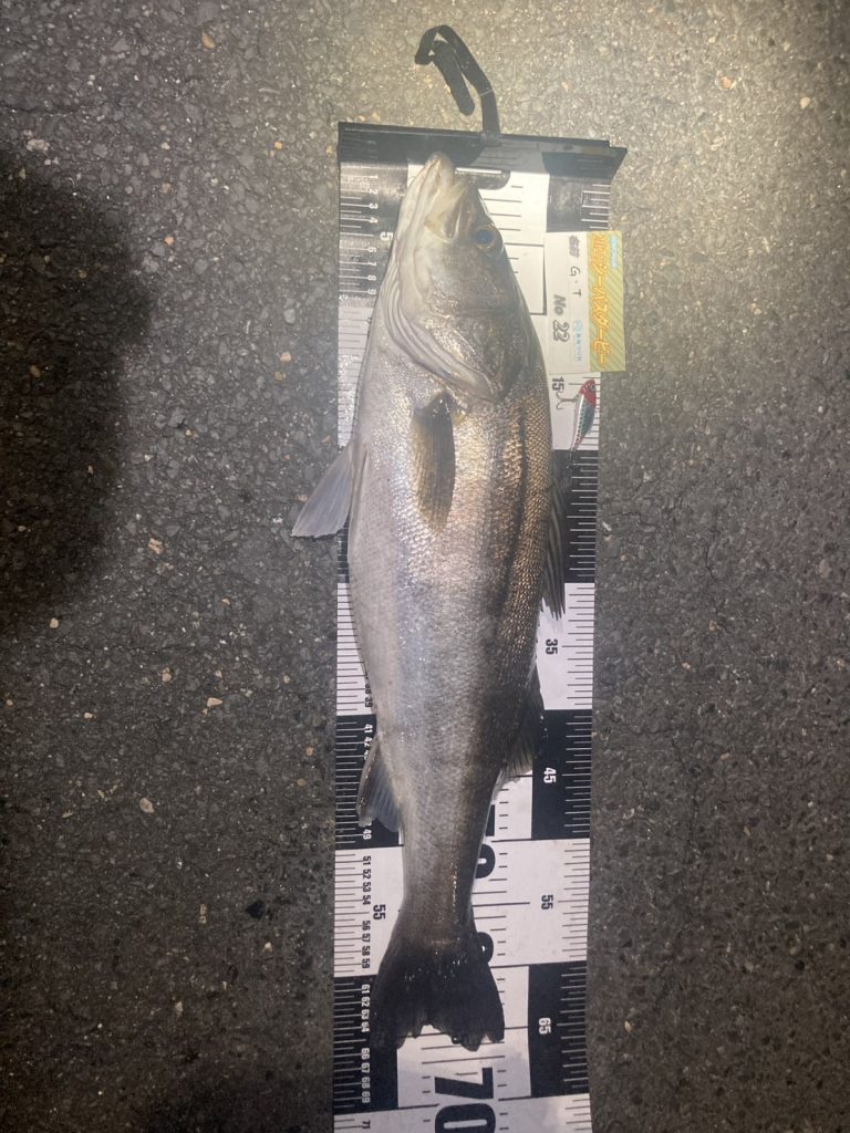 こんにちは東海つり具です♪