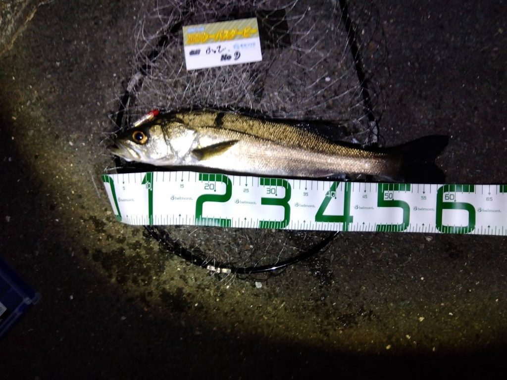 こんにちは東海つり具です♪