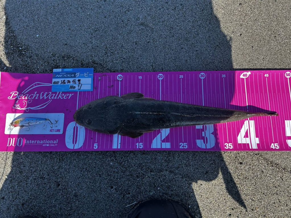 マゴチ絶好調！