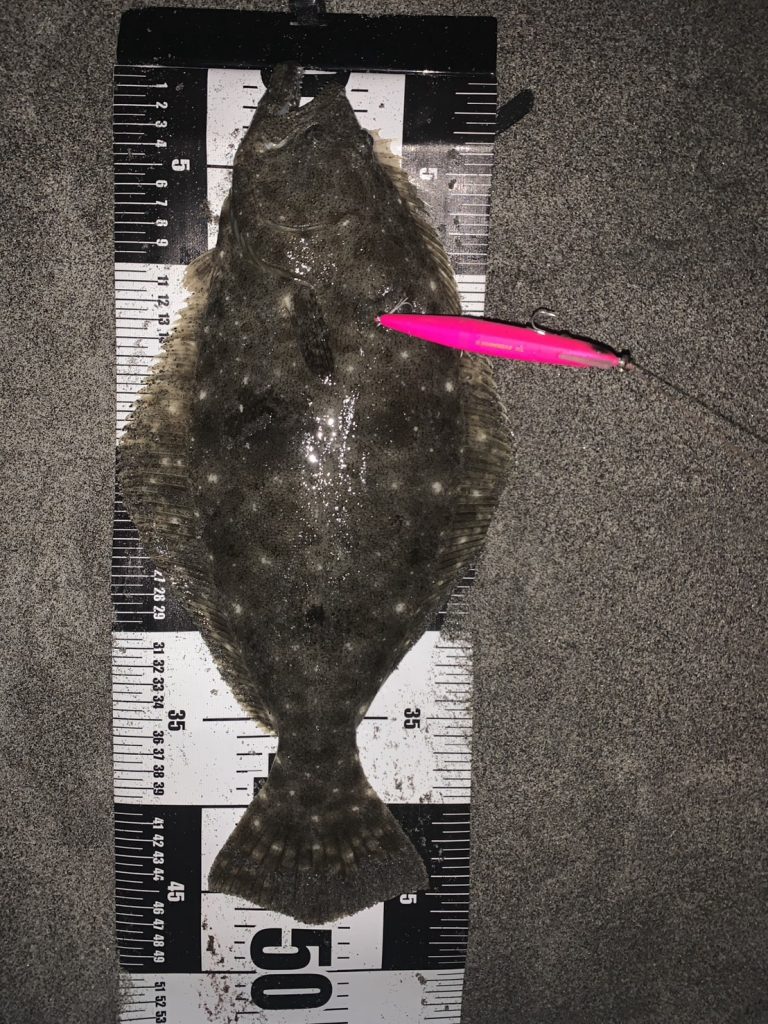 ヒラメ好調！！