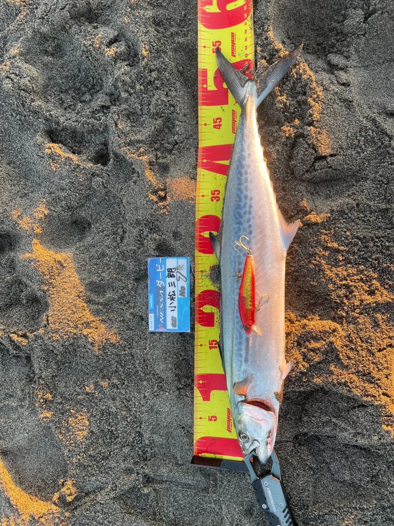 遠州サーフ絶好調！！