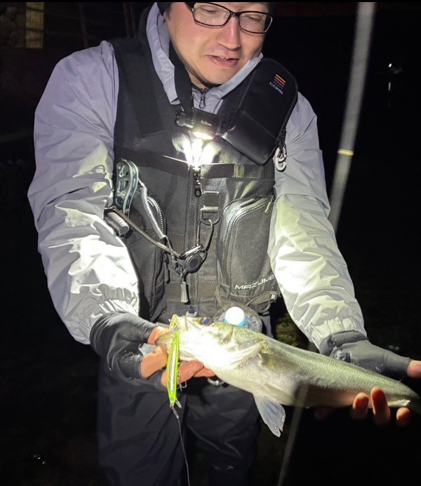 浜名湖でシーバス釣れてます！！