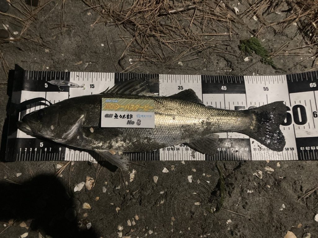 こんにちは東海つり具です！