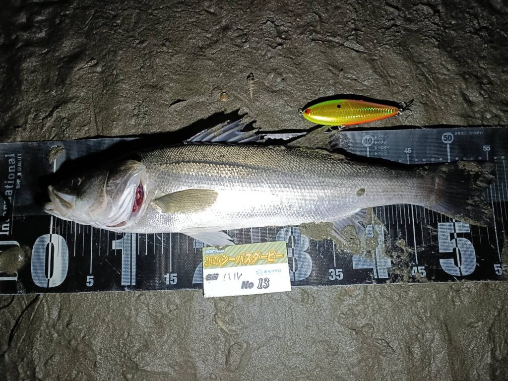 こんにちは東海つり具の永徳です！