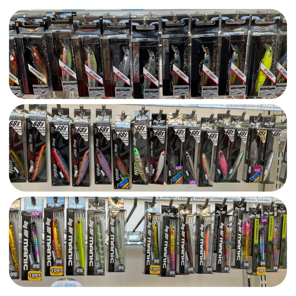 シーバス活性上がってます♪